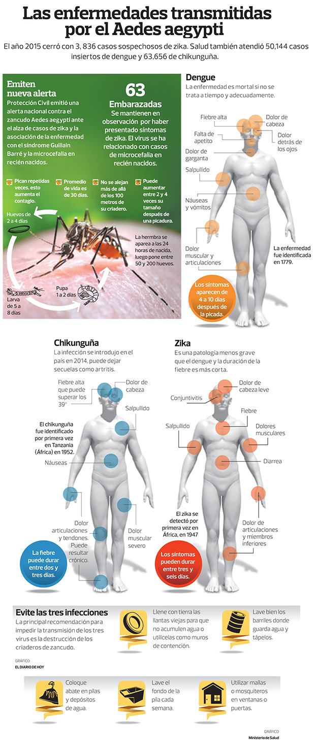 Enfermedades transmitidas por el Aedes Aegypti